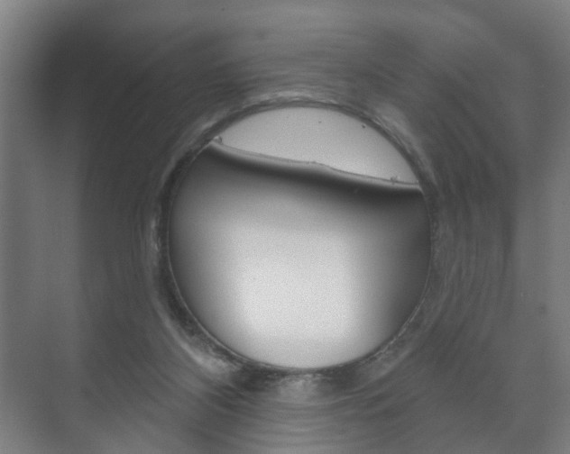 X0000073740116200608031119