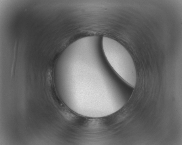 X0000073740127200608031119