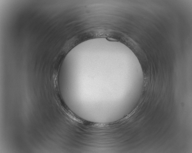 X0000073740142200608031119