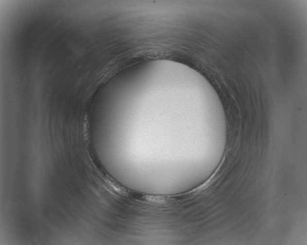X0000073740144200608031119