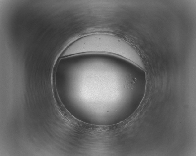 X0000073740148200608031118