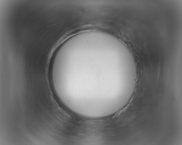 X0000073740150200608031118