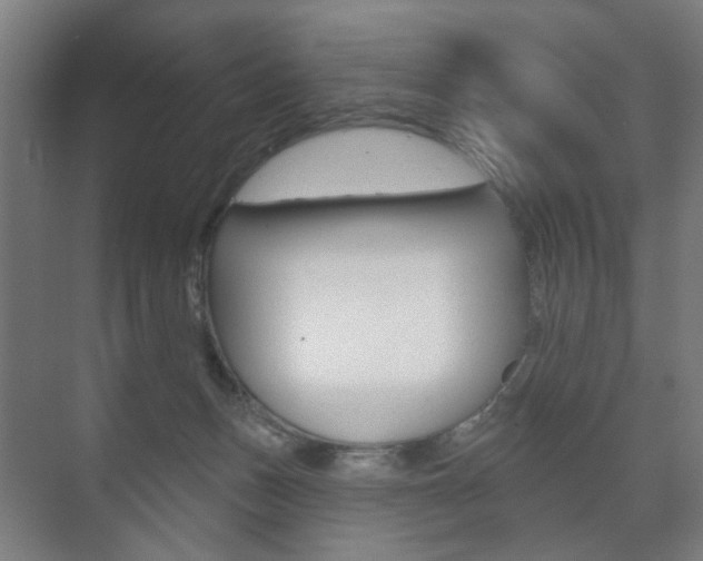 X0000073740175200608031119