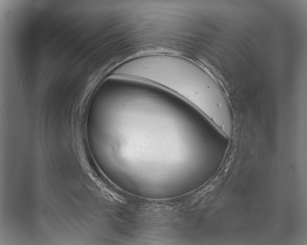 X0000073740193200608031118