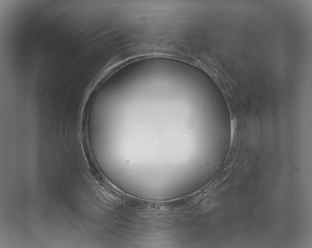 X0000073740195200608031118
