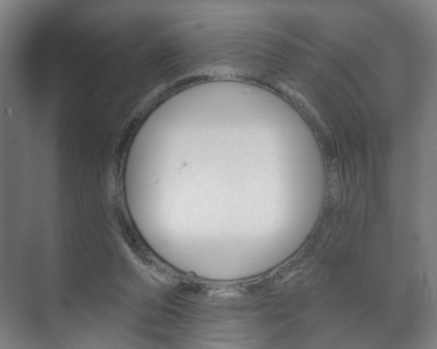 X0000073740208200608031118