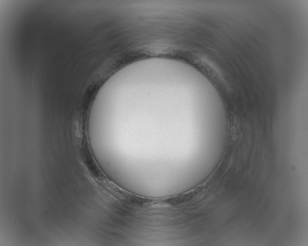 X0000073740210200608031118