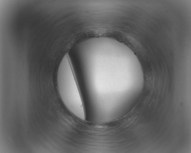 X0000073740221200608031118