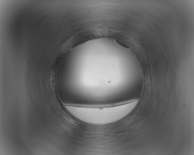 X0000073740233200608031118