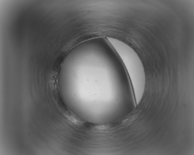 X0000073740237200608031117