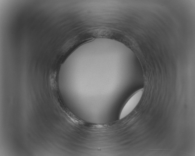 X0000073740239200608031117