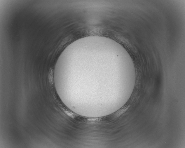 X0000073740240200608031117