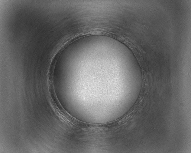 X0000073740242200608031117