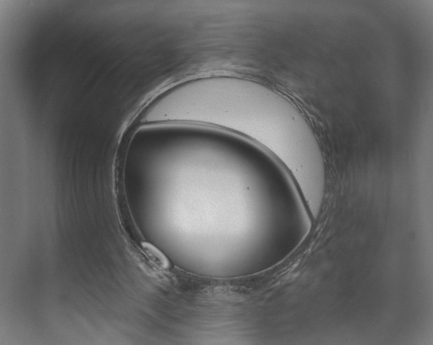 X0000073740244200608031117