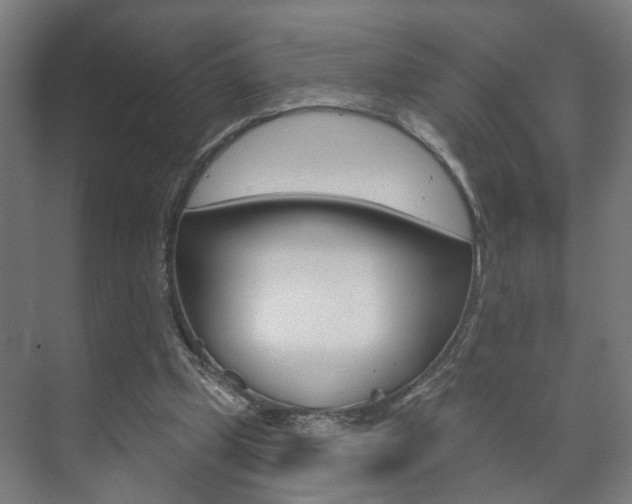 X0000073740249200608031117
