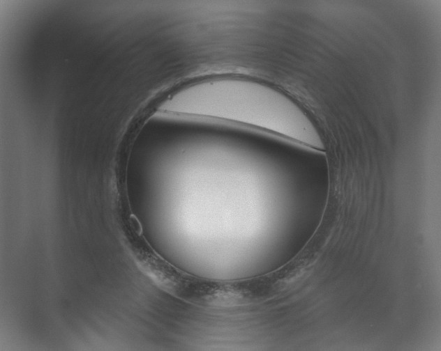 X0000073740256200608031117