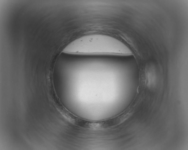 X0000073740265200608031117