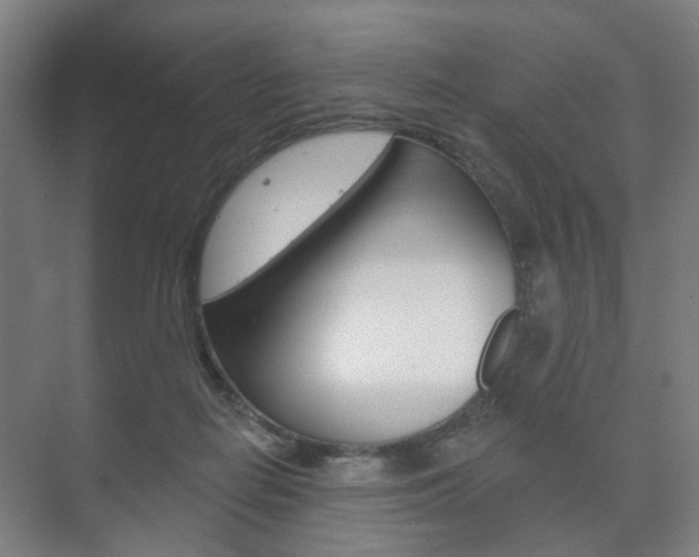 X0000073740266200608031117