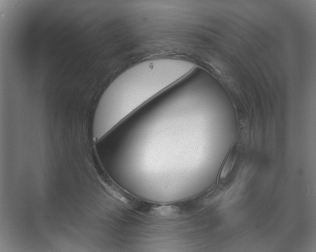 X0000073740269200608031117