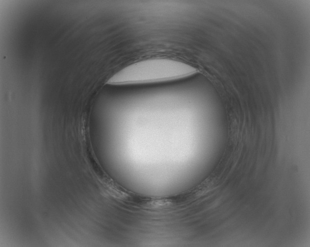 X0000073740274200608031117