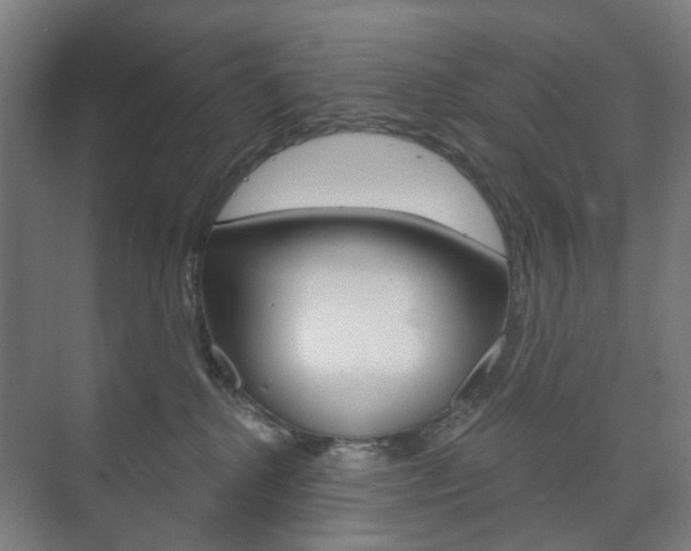 X0000073740280200608031117