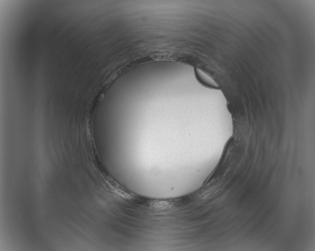 X0000073740287200608031117