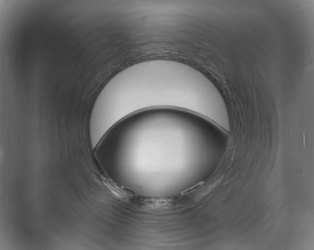 X0000073740288200608031117