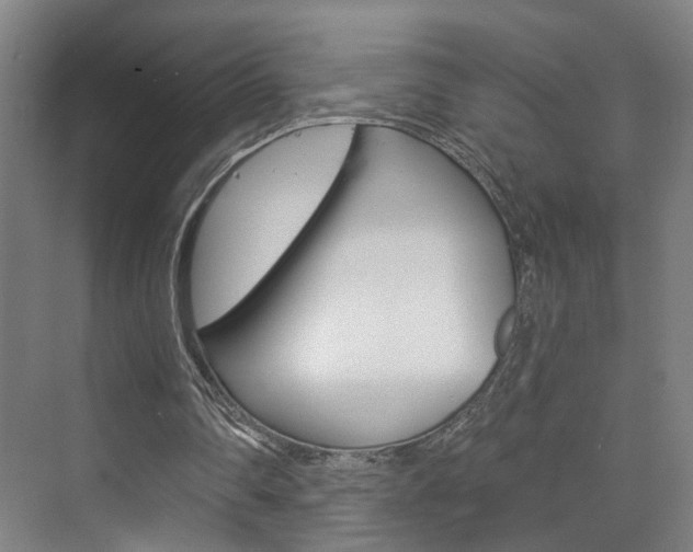 X0000073740290200608031117