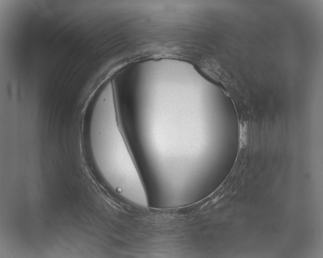 X0000073740291200608031117