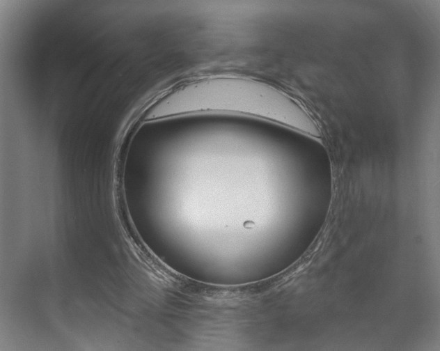 X0000073740293200608031117