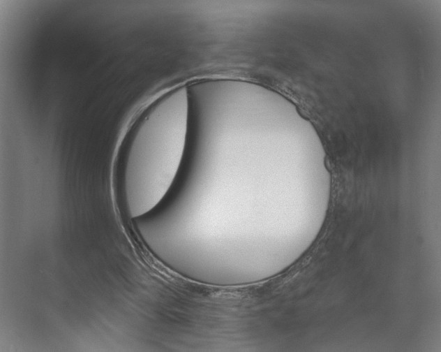 X0000073740294200608031117