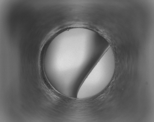 X0000073740296200608031116