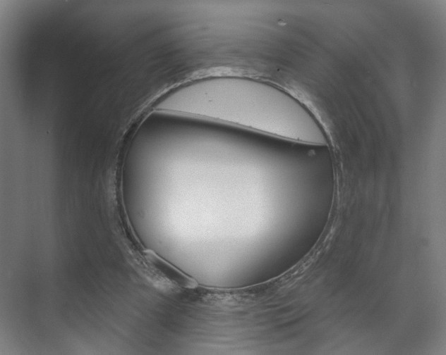 X0000073740297200608031116