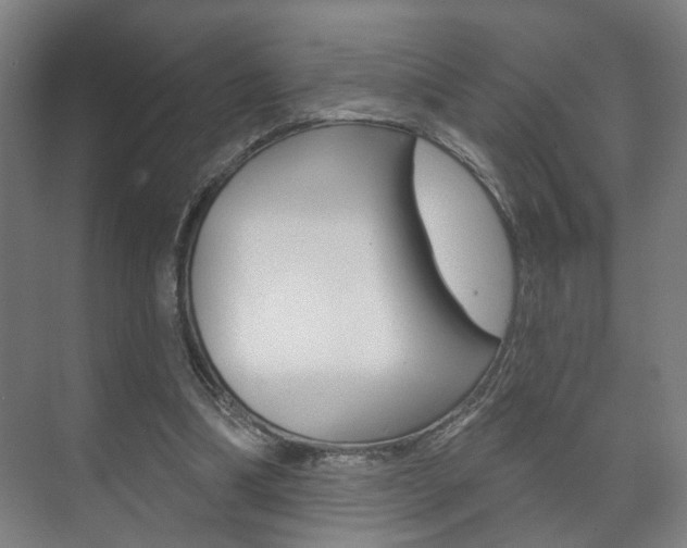 X0000073740298200608031116