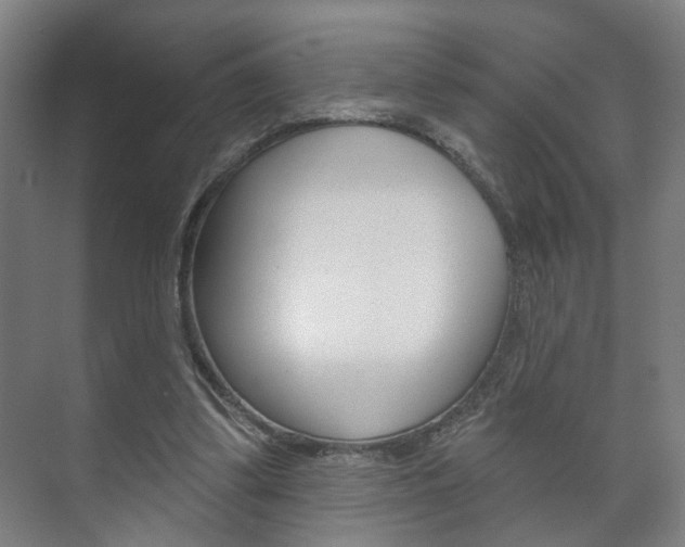X0000073740299200608031116