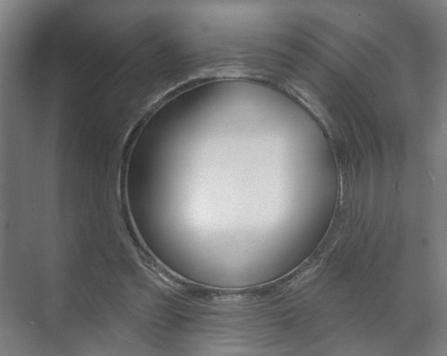 X0000073740301200608031116