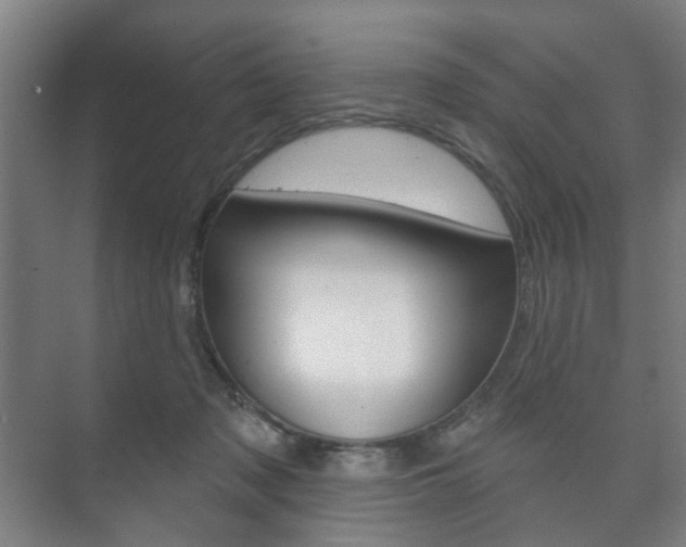 X0000073740317200608031116