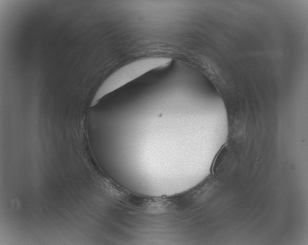 X0000073740321200608031116