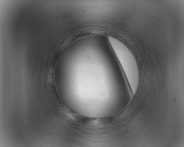 X0000073740325200608031116