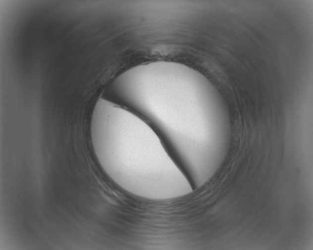X0000073740328200608031116