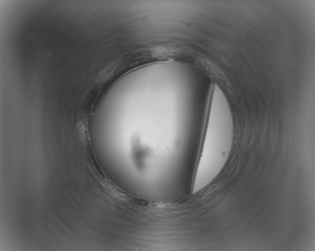 X0000073740329200608031116