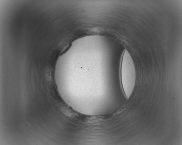 X0000073740331200608031116