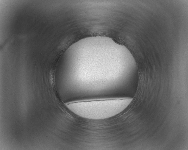 X0000073740335200608031116
