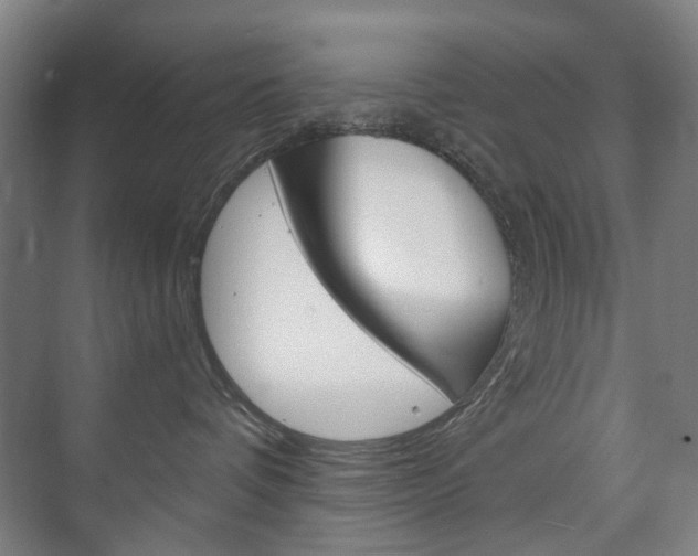 X0000073740336200608031116