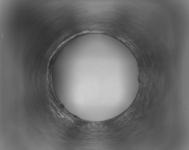 X0000073740338200608031115