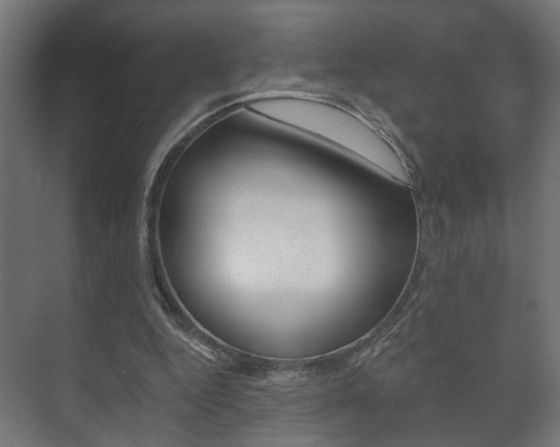X0000073740344200608031115