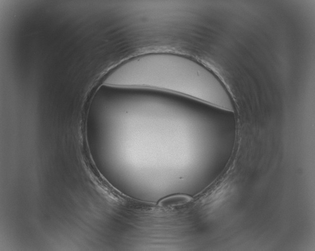 X0000073740345200608031115