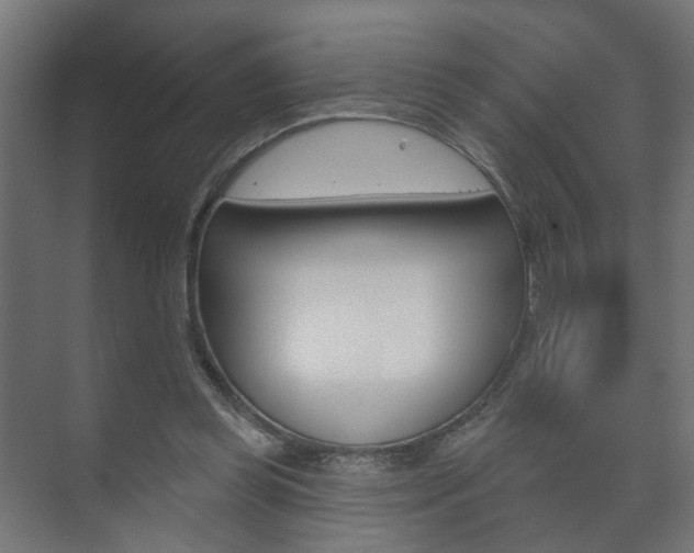 X0000073740349200608031115