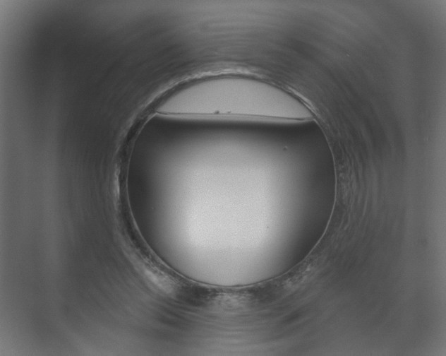 X0000073740350200608031115