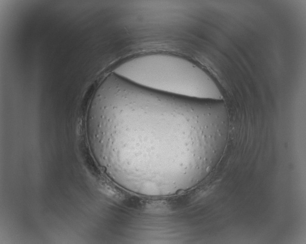 X0000073740355200608031115